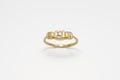 Path Ring - 10k gold with salt & pepper diamonds - Ready to ship