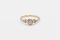 Haven ring - 14k gold with salt & pepper diamonds