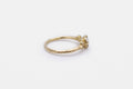 Haven ring - 14k gold with salt & pepper diamonds