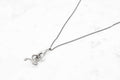 Hand & Snake necklace - silver