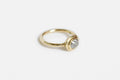 Rhodes ring - 14k gold with salt & pepper diamond