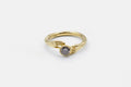 Offering ring - Gold with Salt & Pepper Diamond