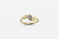 Offering ring - Gold with Salt & Pepper Diamond