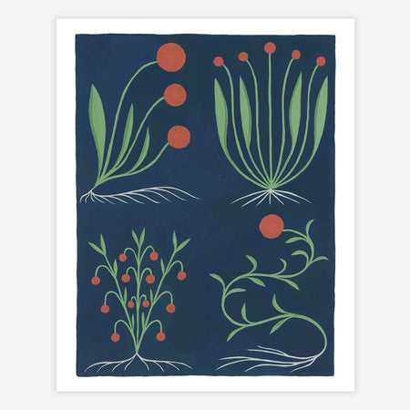 Medieval Flowers - Giclée Print
