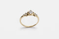 Haven ring - 14k gold with salt & pepper diamonds