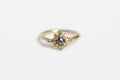 Circe ring - gold with dark salt & pepper diamond