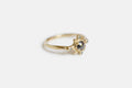Circe ring - gold with dark salt & pepper diamond