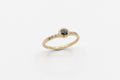 Petra Ring - 14k gold with dark salt & pepper diamond - Ready to Ship